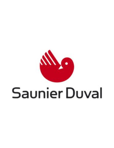 SAUNIER DUVAL CLICSON ANTIRIFLUSSO FUMI S1062300 CALDAIA