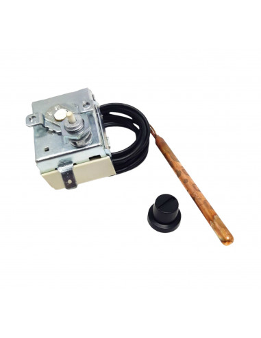 THERMOSTAT SÉCURITÉ MÉCANIQUE RÉARMER MANUEL AVEC CAPILLAIRE 90 110 °C IMIT LS1