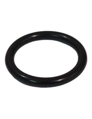 JOINT O-RING IMMERGAS 17,86 X2,62 ECHANGEUR EOLO MINI 24 3018189 102236