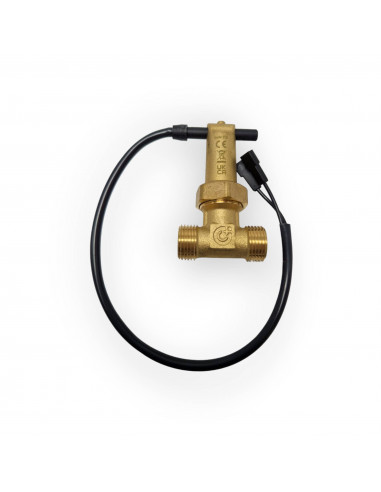 FERROLI 39800120 INTERRUPTEUR DE DÉBIT Ø 1/2 36401350 AVEC FASTON DE RECHANGE POUR CHAUDIÈRE