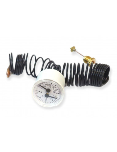 IMMERGAS THERMOHYROMÈTRE D.40 0-120 ° C 0-4 BAR 1032801 ZEUS NIKE MINI CHAUDIÈRE