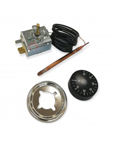 THERMOSTAT AVEC CAPILLAIRE CM 150 TR2 0 90 °C IMIT AVEC RABAT ET ANNEAU POÊLE