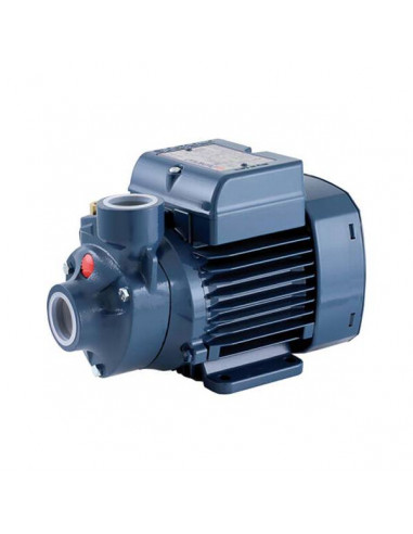 POMPE PEDROLL POMPE AVEC PULSEUR PÉRIPHÉRIQUE MONOPHASE PKM60