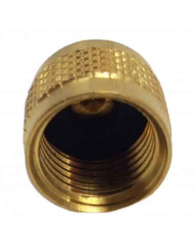 BOUCHON DE ROBINET WIGAM AVEC JOINT 1/4 SAE CLIMATISATION