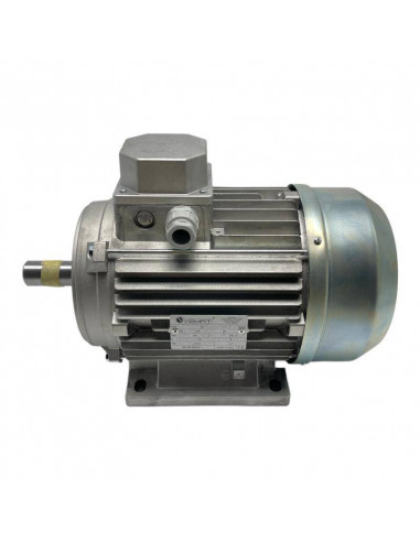 MOTEUR ELECTRIQUE TRIPHASE MEC 100 4 HP 3.00 KW 2840 RPM A PIEDS B3