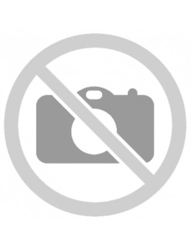 PANNEAU D'ALLUMAGE RESIDEO RELAIS DLG 976-N MOD. 03 220/240V